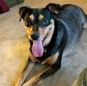 Meet your Posher, Rose